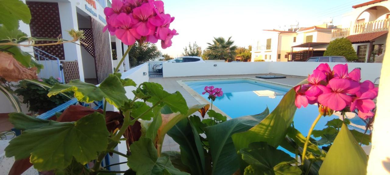Thalassa Seaside Boutique Beach Apartment Polis Exterior photo
